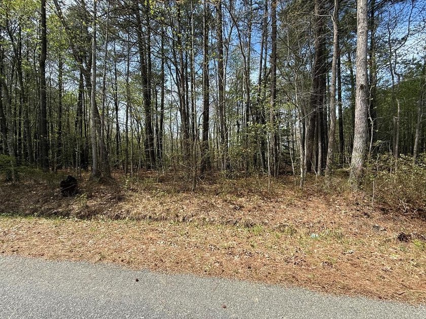Priced below assessment! Wooded and quiet 5 acre lot in - Beach Lot for sale in Reedville, Virginia on Beachhouse.com