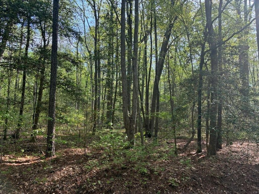 BAY QUARTER SHORES is loaded with community amenities including - Beach Lot for sale in Heathsville, Virginia on Beachhouse.com