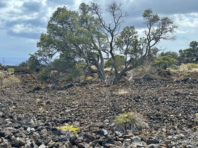 3 acre vacant lot in Hawaiian Ocean View Ranchos!  Build your - Beach Acreage for sale in Ocean View, Hawaii on Beachhouse.com