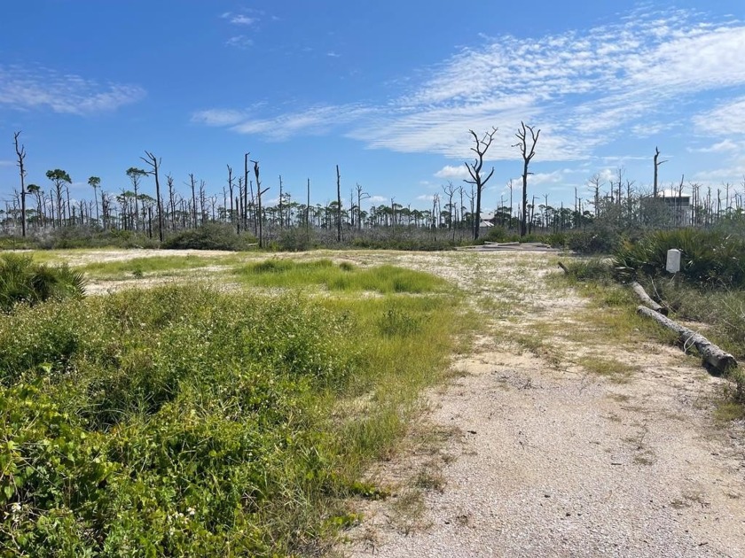 NORTH CAPE SAN BLAS BUILDING SITE WITH POSSIBLE OWNER - Beach Lot for sale in Cape San Blas, Florida on Beachhouse.com