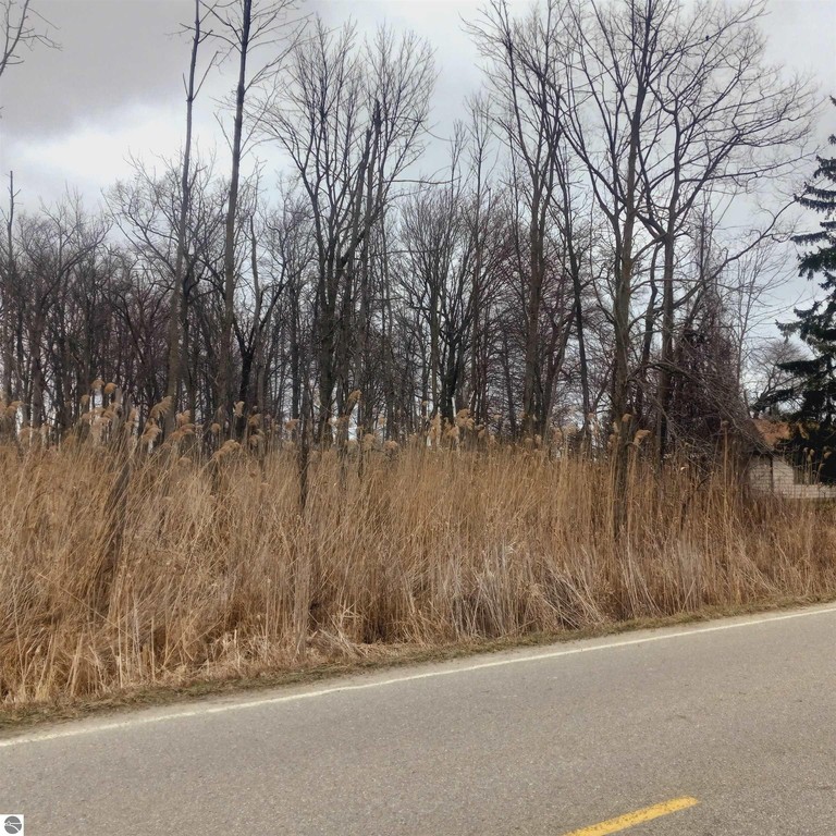 JUST OVER 11 ACRES LOCATED ON A PAVED ROAD WITH A MARINA - Beach Acreage for sale in Au Gres, Michigan on Beachhouse.com