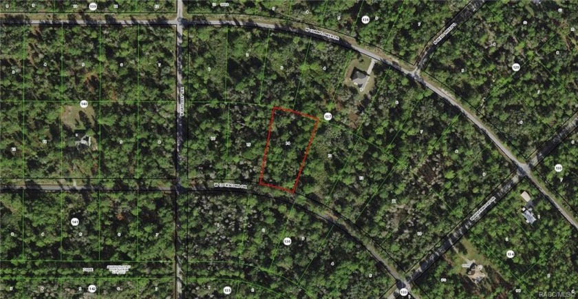 This wonderfully wooded 1.3 acre lot is available just North of - Beach Lot for sale in Crystal River, Florida on Beachhouse.com