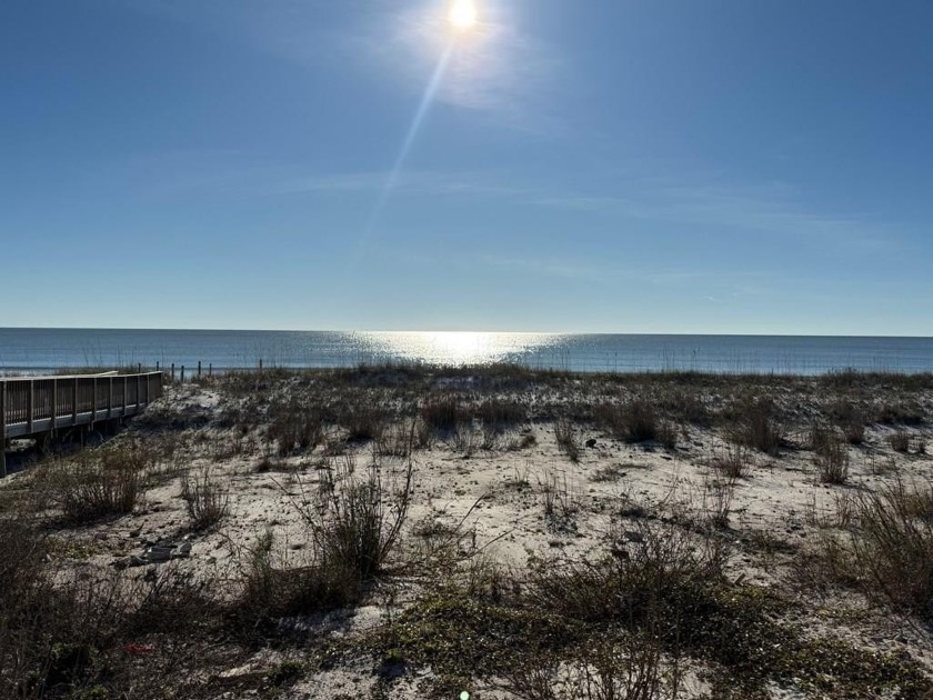 Beautiful Gulf Front lot in the heart of Mexico Beach! This - Beach Lot for sale in Mexico Beach, Florida on Beachhouse.com