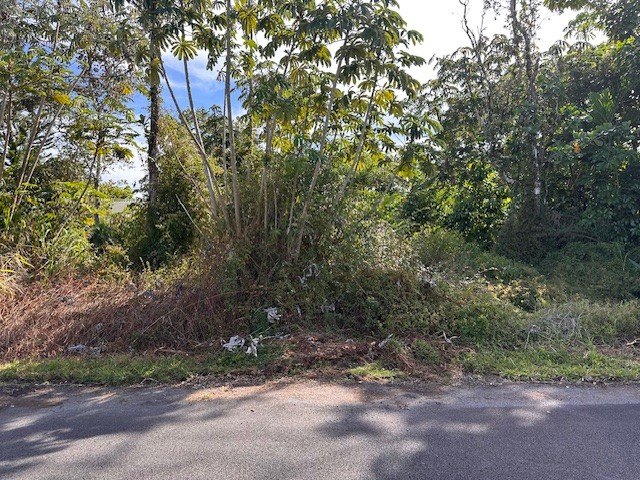Nice lot. build your dream home or rental property. Seller - Beach Lot for sale in Pahoa, Hawaii on Beachhouse.com