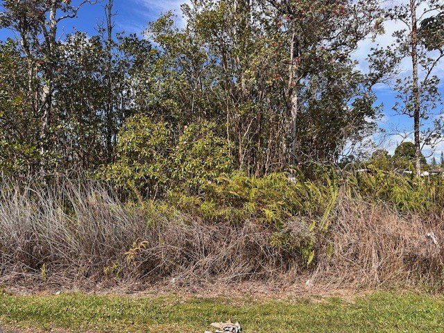 Nice buildable lot, Build you dream home or rental property - Beach Lot for sale in Pahoa, Hawaii on Beachhouse.com