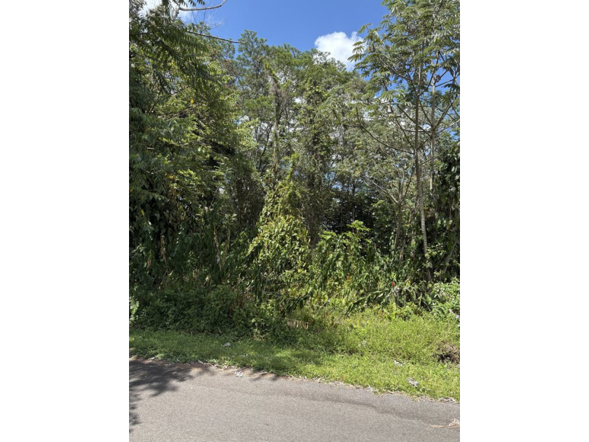 Perfect opportunity to own a beautifully wooded lot in the - Beach Lot for sale in Pahoa, Hawaii on Beachhouse.com