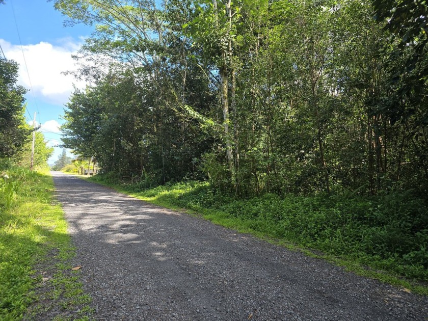 Beautifully wooded one-acre lot located in the rapidly growing - Beach Lot for sale in Keaau, Hawaii on Beachhouse.com