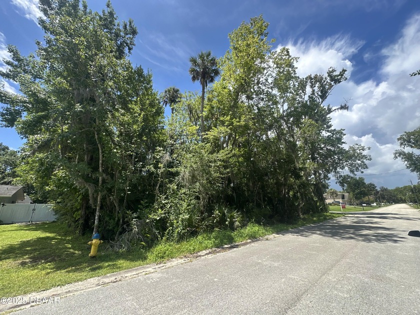 This oversized 100x150 lot in Corbin Park is the perfect canvas - Beach Lot for sale in New Smyrna Beach, Florida on Beachhouse.com