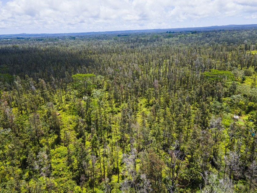 Welcome to your slice of paradise in Keaau, Hawaii! Nestled - Beach Acreage for sale in Keaau, Hawaii on Beachhouse.com