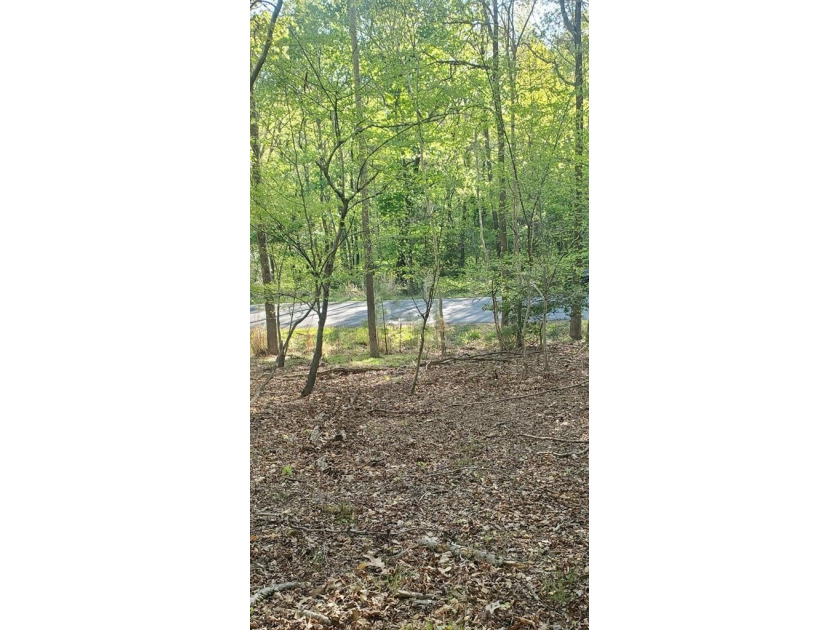 Great opportunity to build in the lovely waterfront subdivision - Beach Lot for sale in Montross, Virginia on Beachhouse.com