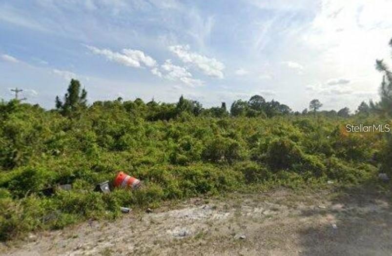 NO HOA, NO CDD, NOT in a flood zone, Build Your Dream Home in - Beach Lot for sale in Lehigh Acres, Florida on Beachhouse.com