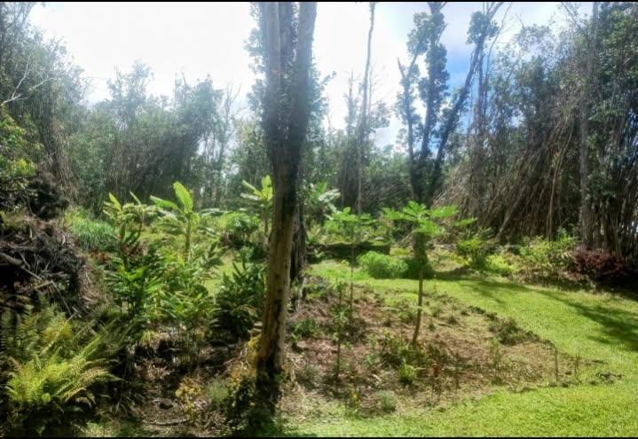 LUSH, CLEARED LOT IN FERTILE LOWER PUNA, HAWAII BIG ISLAND! - Beach Lot for sale in Pahoa, Hawaii on Beachhouse.com