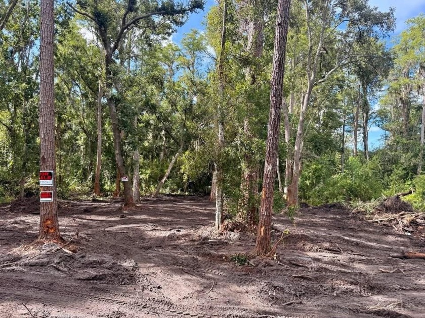 Wonderful opportunity to build your new home in the fast growing - Beach Lot for sale in Tampa, Florida on Beachhouse.com