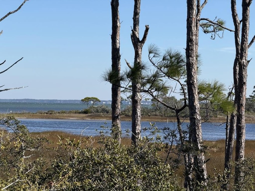 A rare Bayfront lot on the north cape that is suitable for your - Beach Lot for sale in Cape San Blas, Florida on Beachhouse.com