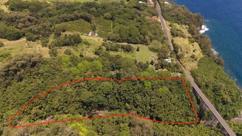 Discover a rare piece of Old Hawaii with this 6.11 acre property - Beach Acreage for sale in Papaaloa, Hawaii on Beachhouse.com