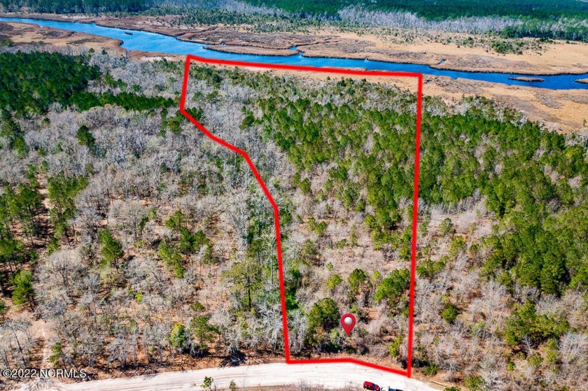 Hunters, Timber Investors, Developers, or Someone looking for a - Beach Acreage for sale in Grantsboro, North Carolina on Beachhouse.com