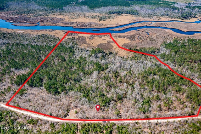 Hunters, Timber Investors, Developers, or buyers looking for - Beach Acreage for sale in Grantsboro, North Carolina on Beachhouse.com