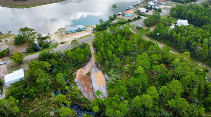 RIVER VIEW...check out this untouched beautiful slice of - Beach Lot for sale in Carabelle, Florida on Beachhouse.com