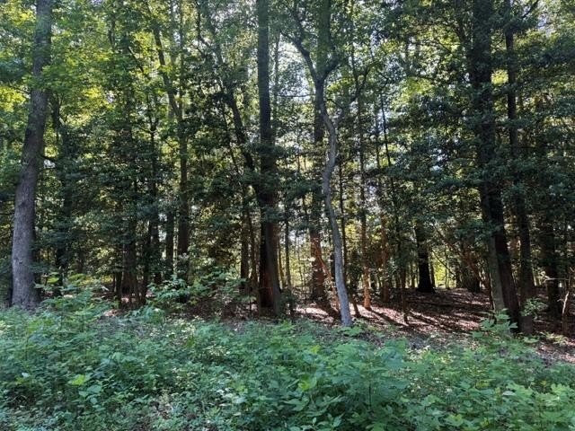 Located in Bay Quater Shores one of Northumberland's popular - Beach Lot for sale in Heathsville, Virginia on Beachhouse.com