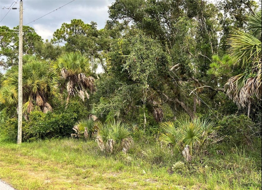 Check out this awesome vacant lot in the heart of Port Charlotte - Beach Lot for sale in Port Charlotte, Florida on Beachhouse.com