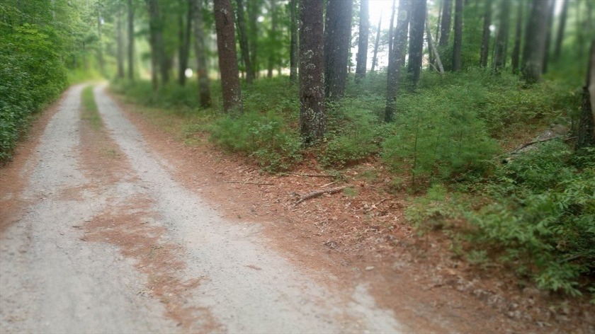 Building lot in private setting in East Marion with mature trees - Beach Lot for sale in Marion, Massachusetts on Beachhouse.com