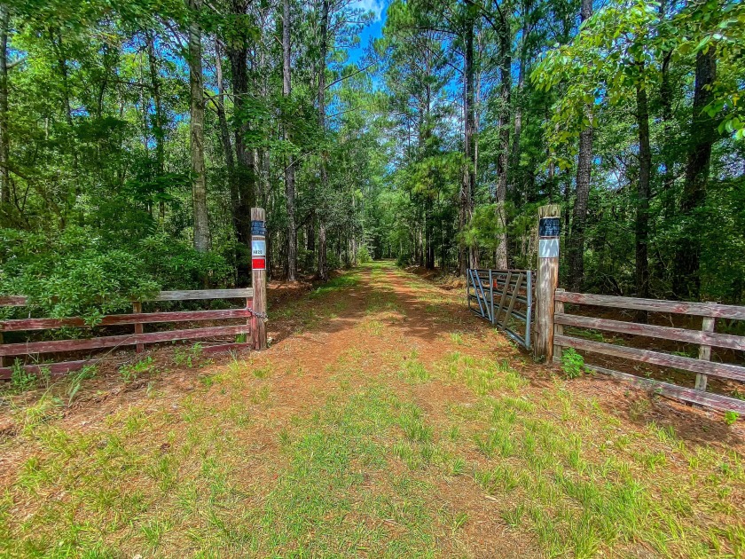 SELLER FINANCING AVAILABLE!!  150 ACRES of RAW LAND just minutes - Beach Acreage for sale in Mount Pleasant, South Carolina on Beachhouse.com