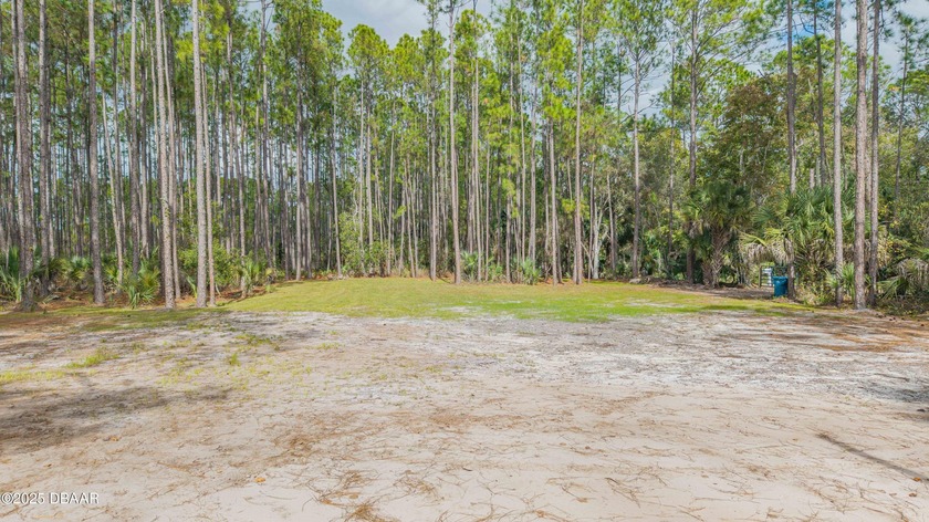 Vacant 1.25-Acre Lot in Samsula, FL - Your Perfect Opportunity - Beach Lot for sale in New Smyrna Beach, Florida on Beachhouse.com