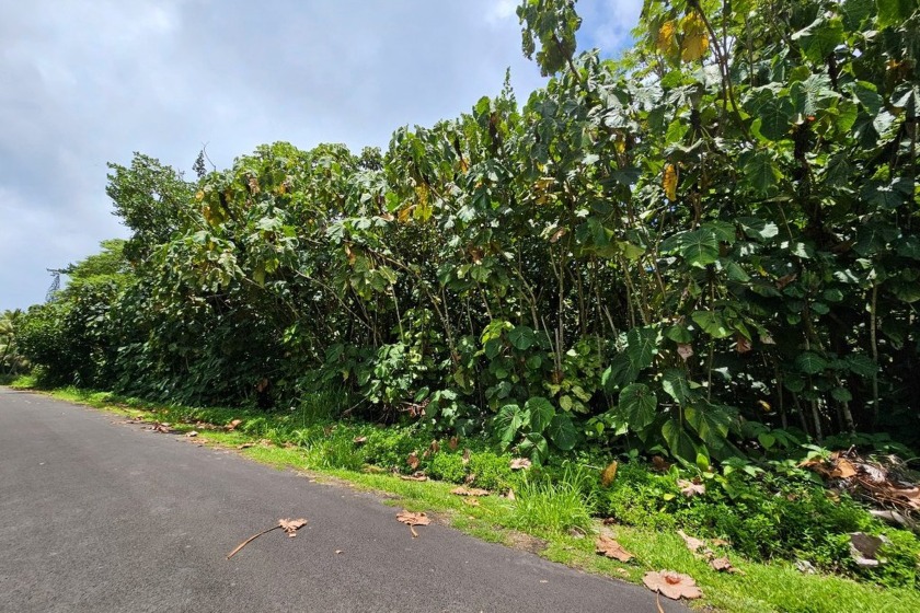 Rare opportunity to own a collection of eight lots near the - Beach Lot for sale in Pahoa, Hawaii on Beachhouse.com