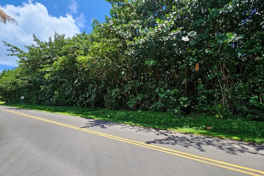 Rare opportunity to own a collection of eight lots near the - Beach Lot for sale in Pahoa, Hawaii on Beachhouse.com