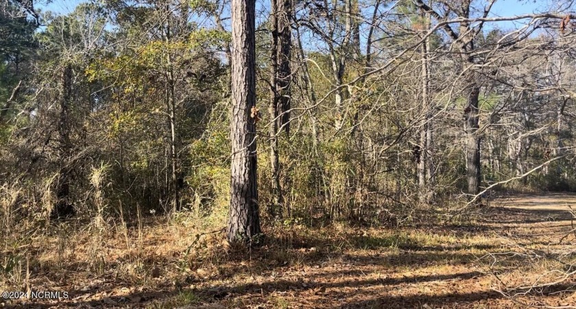 Location, Location, Location! Over 3 acres to build your dream - Beach Acreage for sale in Sneads Ferry, North Carolina on Beachhouse.com