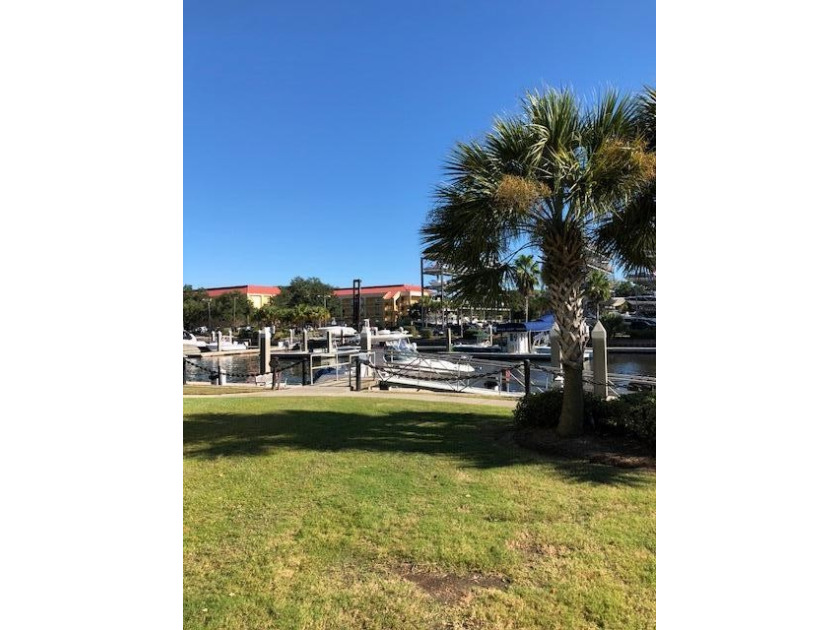 INCREDIBLE DEEP WATER LOT WITH 50 FT FACE DOCK! This beautiful - Beach Lot for sale in Charleston, South Carolina on Beachhouse.com