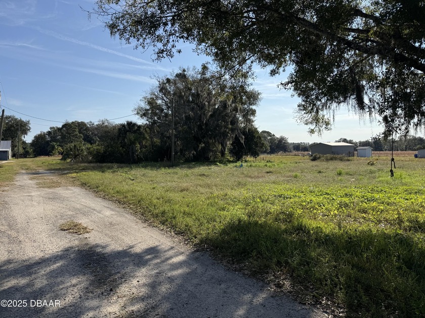 BEAUTIFUL DEEP 8 ACRE LOT ON PEACEFUL NORTH SAMSULA DRIVE - Beach Acreage for sale in New Smyrna Beach, Florida on Beachhouse.com