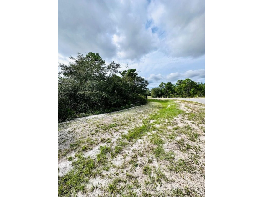 Here's your chance to own a beautiful lot in the gated community - Beach Lot for sale in Eastpoint, Florida on Beachhouse.com