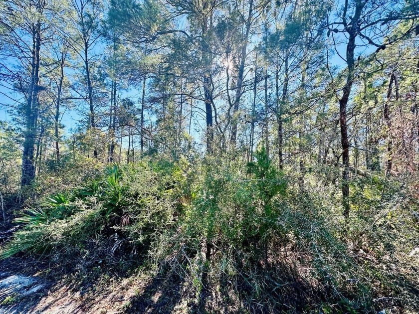RIVER VIEW...a must see!! This beautiful 1 acre vacant lot with - Beach Lot for sale in Carabelle, Florida on Beachhouse.com
