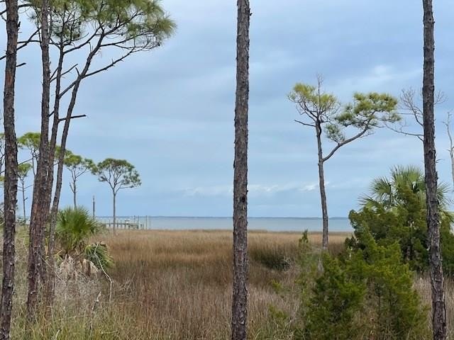 Bayfront platted lot with wetland deliniation on recorded plat - Beach Lot for sale in Port St Joe, Florida on Beachhouse.com