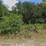 Are you looking for a place to build that when your arms are - Beach Lot for sale in Lehigh Acres, Florida on Beachhouse.com