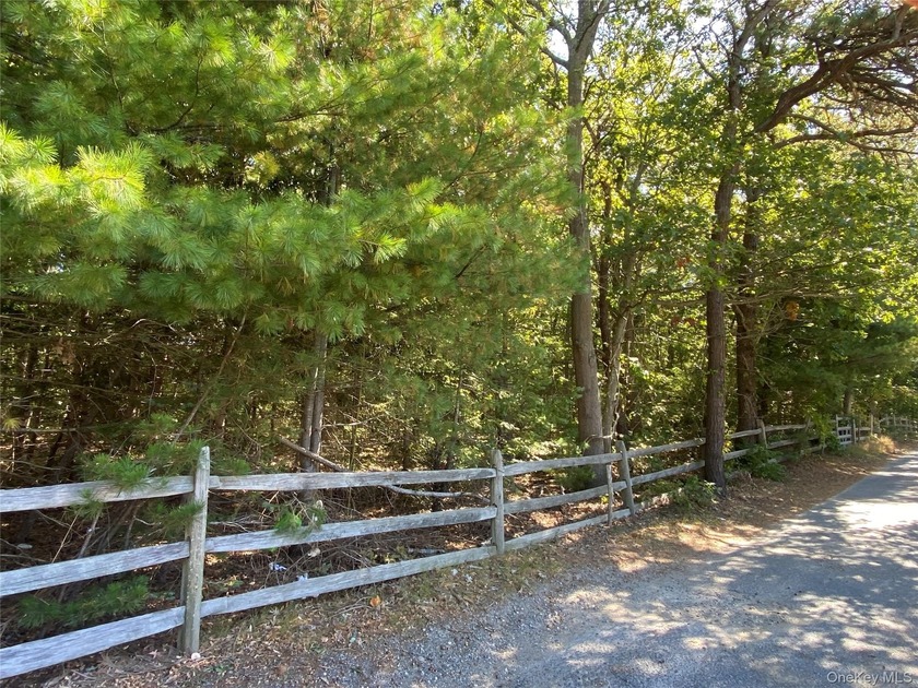 Private 3 acre residential wooded lot with survey and proposed - Beach Acreage for sale in Patchogue, New York on Beachhouse.com