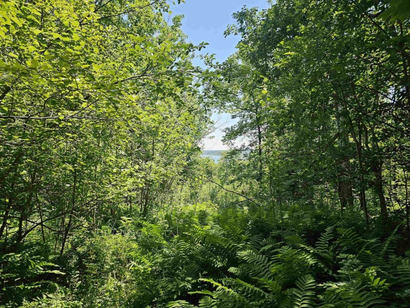 Prime 3-acre lot nestled between Bayfield and Washburn, boasting - Beach Lot for sale in Washburn, Wisconsin on Beachhouse.com