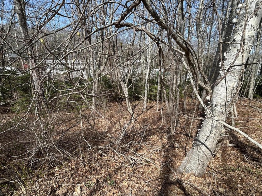 With very low taxes, a 1.33 acre lot, 16 feet of shared access - Beach Lot for sale in South Bristol, Maine on Beachhouse.com