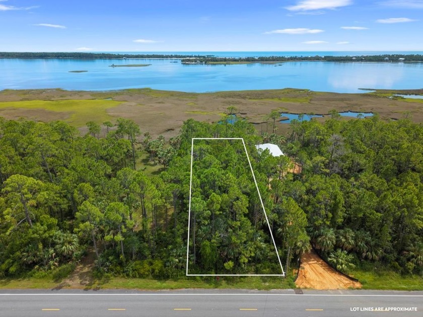 Discover the perfect setting for your dream home on this - Beach Lot for sale in Port St Joe, Florida on Beachhouse.com