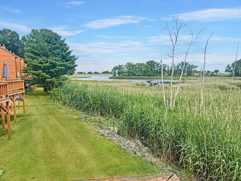 Stunning marsh views from  your back deck in desirable Dunvegan - Beach Townhome/Townhouse for sale in Hampton, New Hampshire on Beachhouse.com