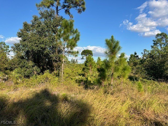 This beautiful lot is situated on a quiet street in a desirable - Beach Lot for sale in Lehigh Acres, Florida on Beachhouse.com