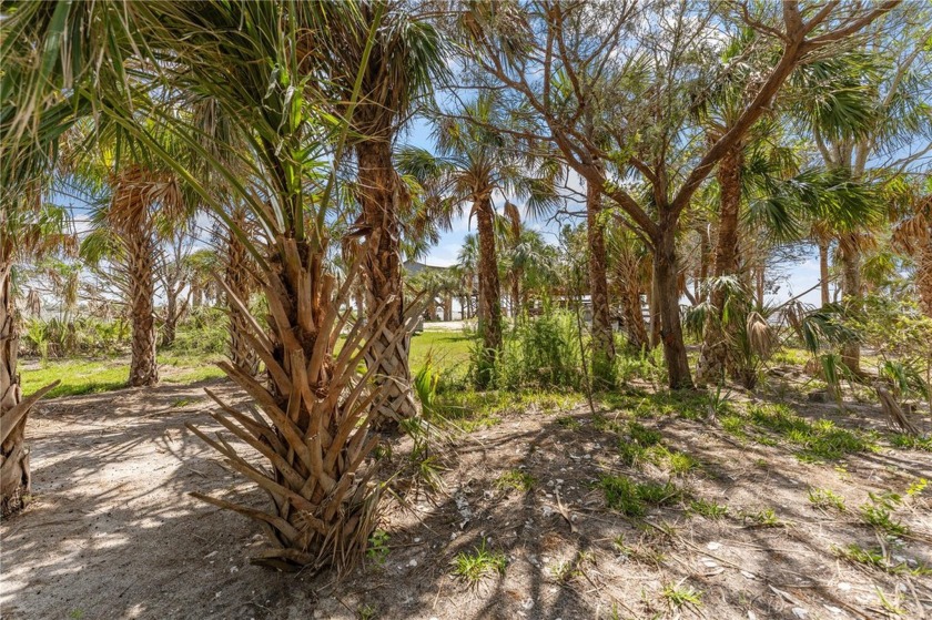 Under contract-accepting backup offers. Two gorgeous adjacent - Beach Lot for sale in Horseshoe Beach, Florida on Beachhouse.com