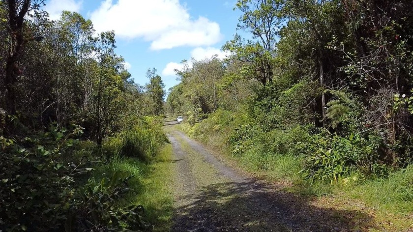 Wooded country lot at an elevation over 2200' for nice cool - Beach Lot for sale in Volcano, Hawaii on Beachhouse.com
