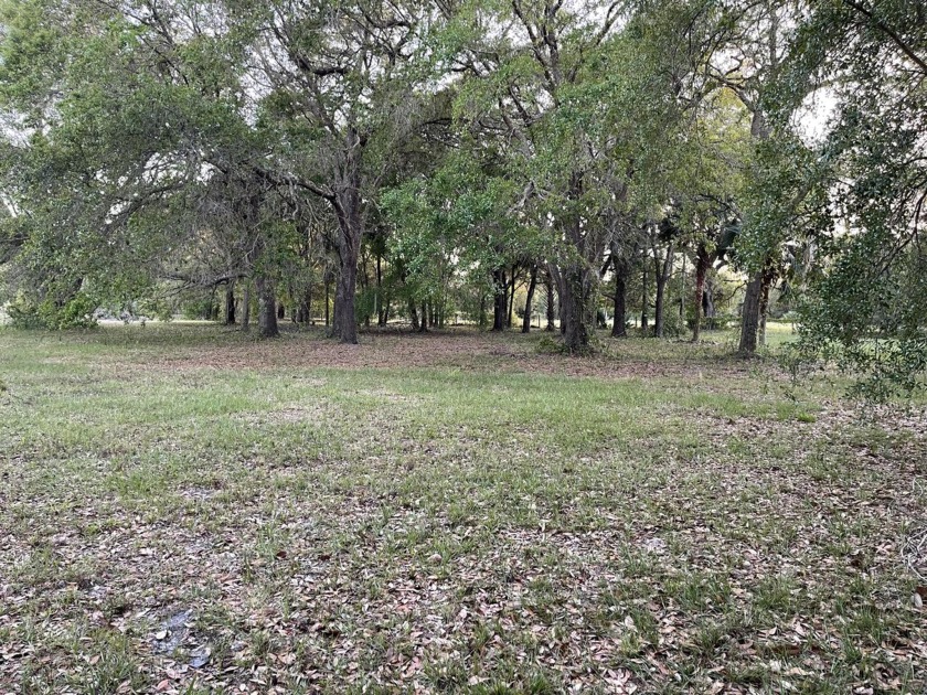 Wonderful  HIGHT and DRYproperty 4.75 acres zoned agricultural - Beach Acreage for sale in Mims, Florida on Beachhouse.com