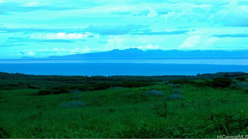 This 66 acres is a Nature Lovers Paradise with the Beautiful - Beach Lot for sale in Maunaloa, Hawaii on Beachhouse.com