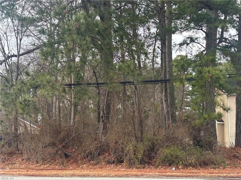 2 acre vacant lot. It is an irregular lot with only 45' of road - Beach Lot for sale in Chesapeake, Virginia on Beachhouse.com