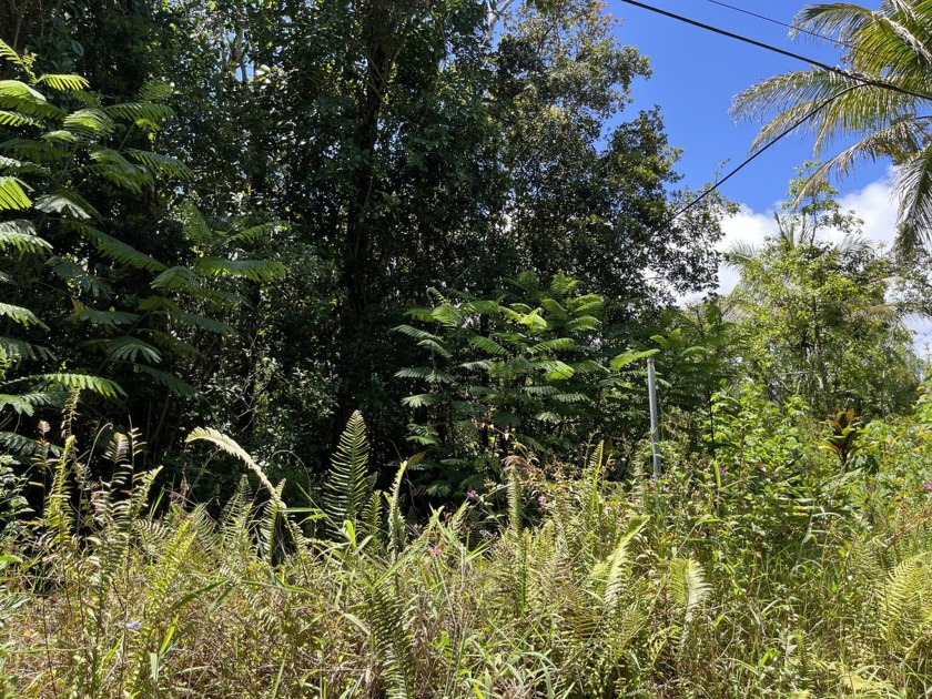 Tropical Oasis property in Black Sand Beach on Kapoho Street off - Beach Lot for sale in Pahoa, Hawaii on Beachhouse.com