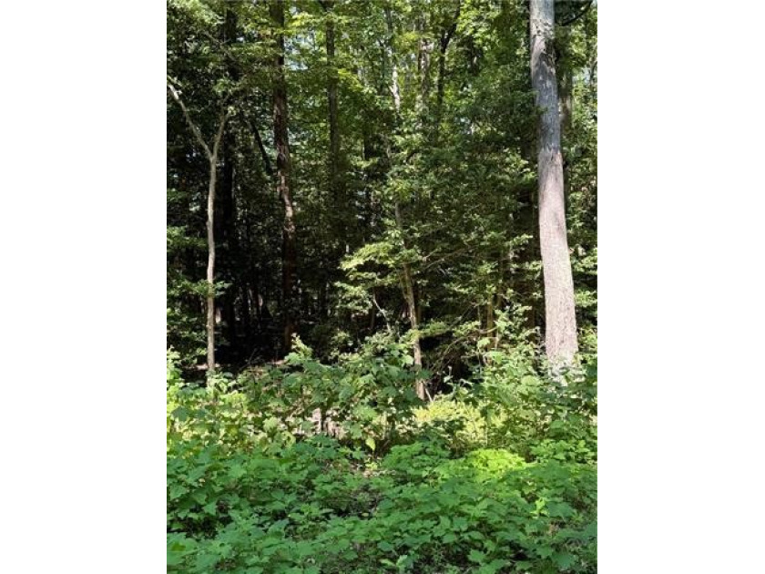 Wooded lot in the sought-after Bay Quarter Shores community! - Beach Lot for sale in Heathsville, Virginia on Beachhouse.com