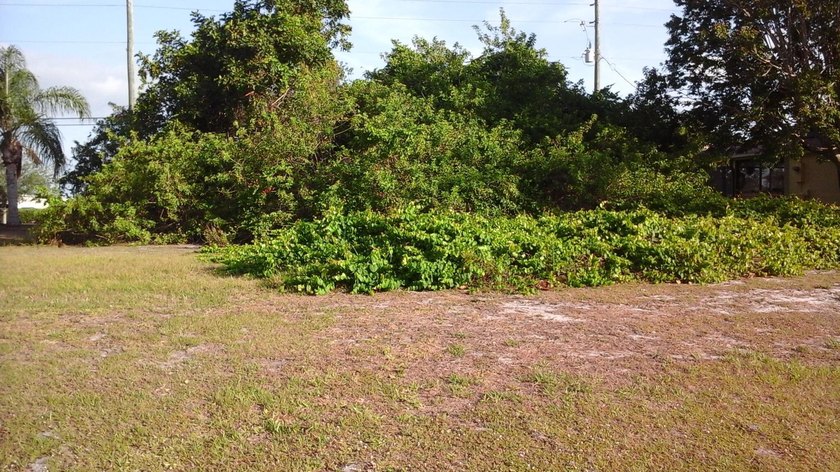 This partially cleared land is in a great location close to all - Beach Lot for sale in Sebastian, Florida on Beachhouse.com